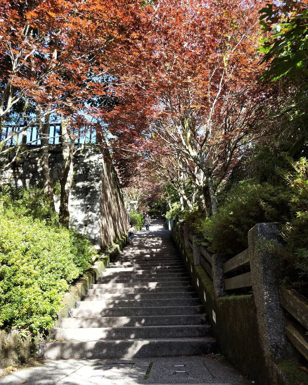 太平山 @zhongcunjin1