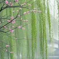 崇德班備份
