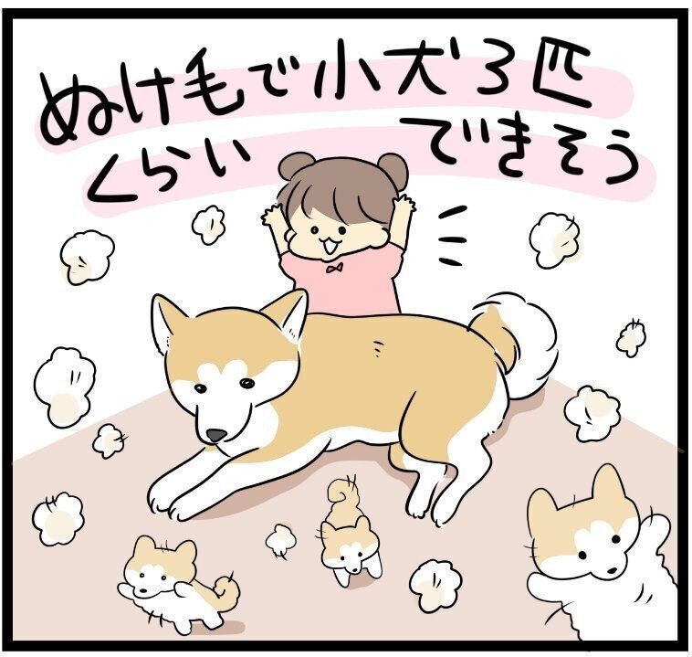 そそう や はみ出し 犬のトイレの失敗をなくす方法