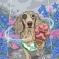 🌭腸腸和寶貝勤美野餐真療癒🐶
