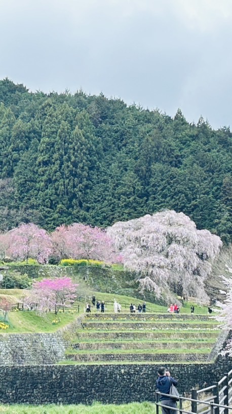 大阪泉州の仲間達