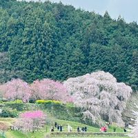 大阪泉州の仲間達