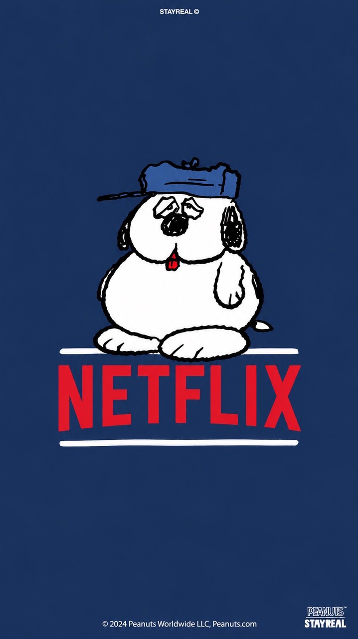 Netflix認證
