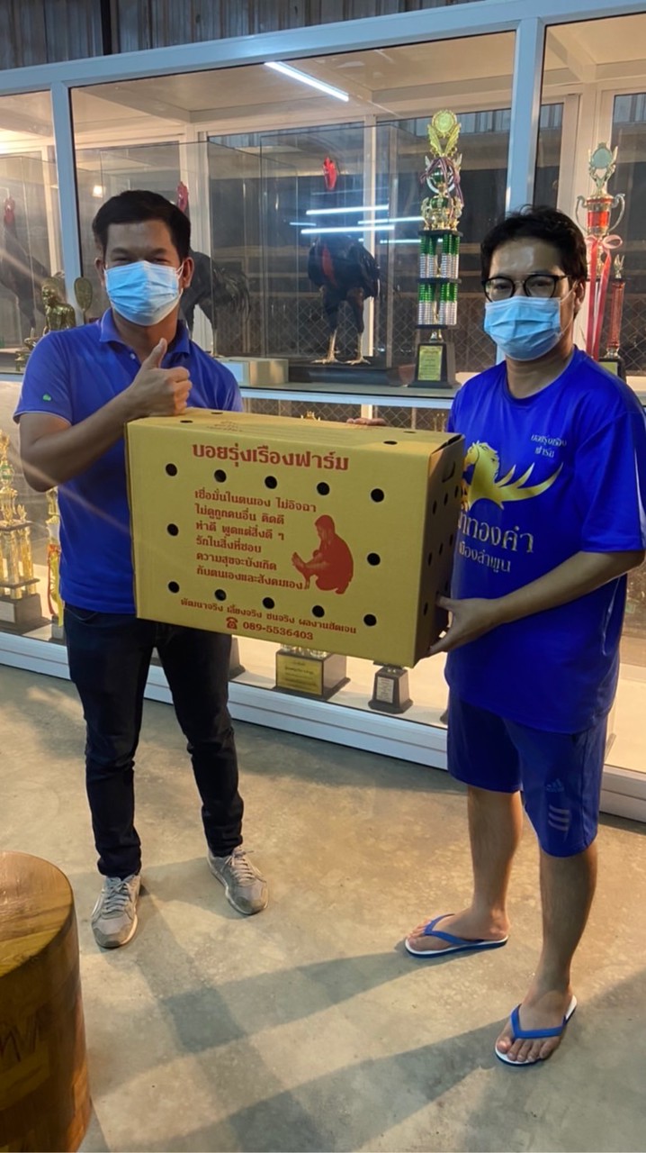 ท็อป ไก่ชนเชียงราย