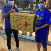 ท็อป ไก่ชนเชียงราย