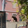 一起聊故事