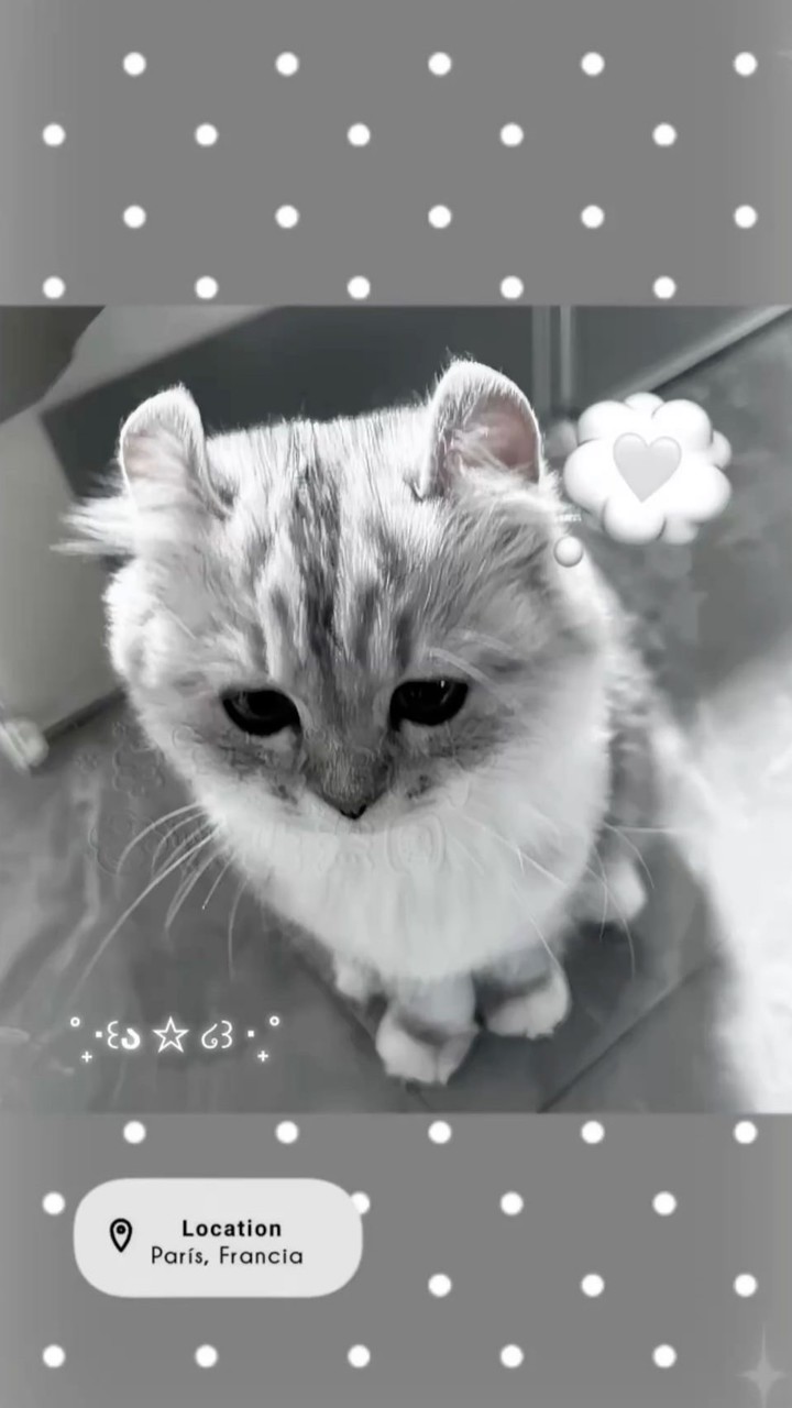 熙の素材群ఌ︎.