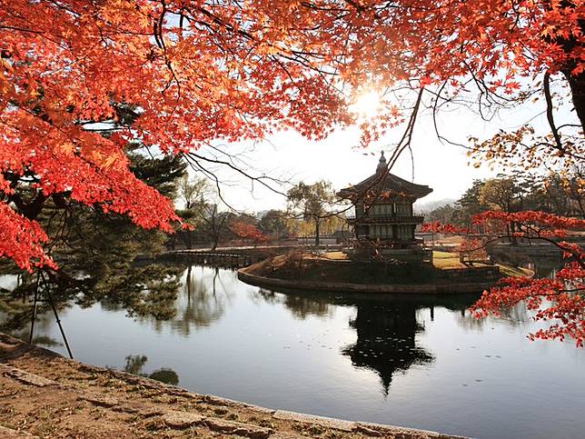 19首爾紅葉情報 10個絕對不可錯過的賞楓景點及交通攻略 Elle Hk Line Today