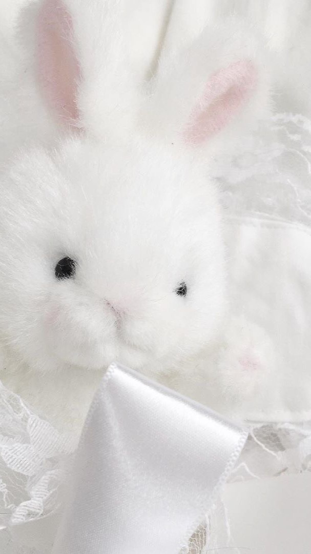 ตัวแทนน้อง ℋ𝑜𝓇𝓃𝑜𝓇 ♡ˎˊ