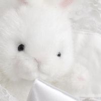 ตัวแทนน้อง ℋ𝑜𝓇𝓃𝑜𝓇 ♡ˎˊ