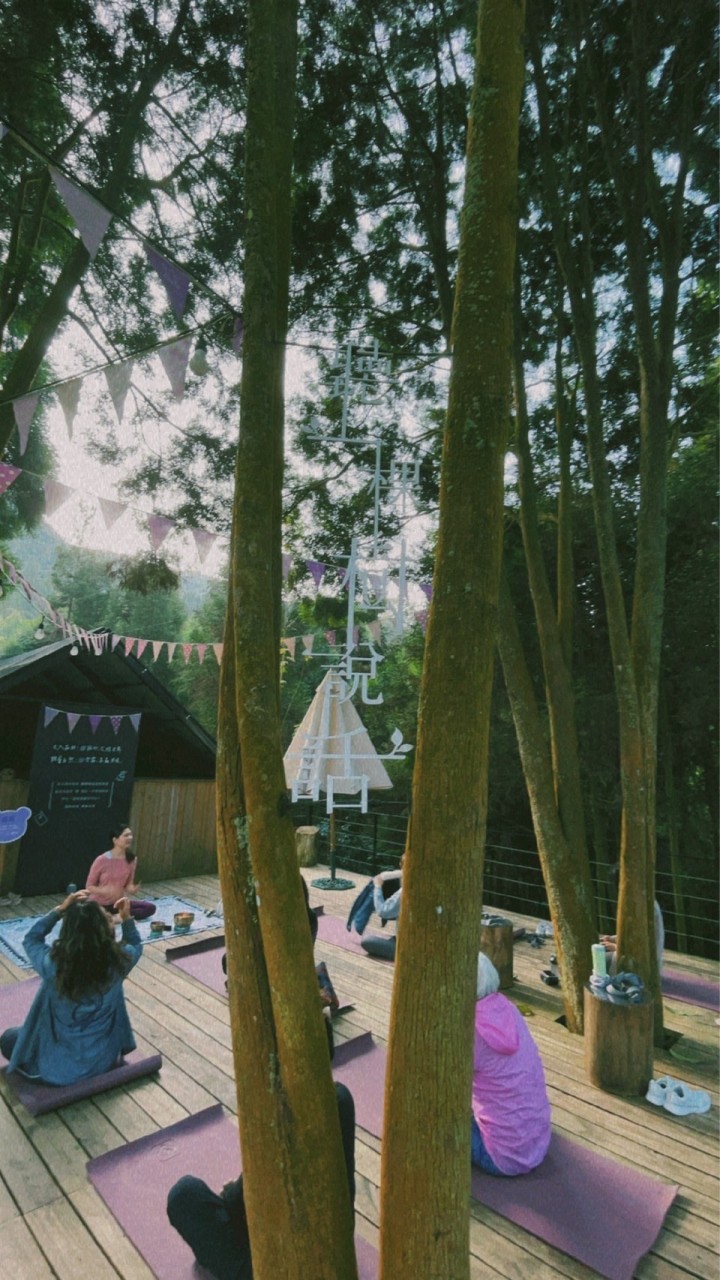 Art of Yoga 瑜珈美學