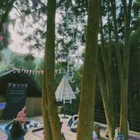 Art of Yoga 瑜珈美學