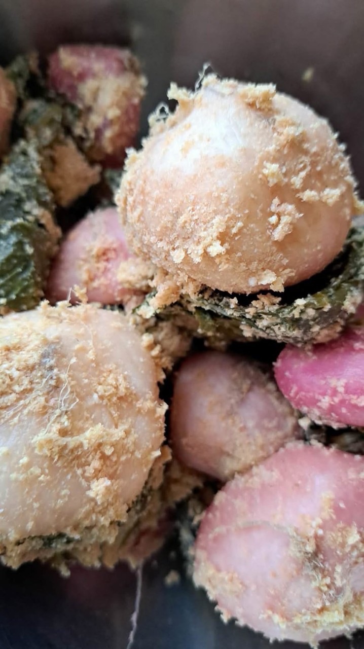 1/31仁さんの🥕縄文糠漬け講座🥕