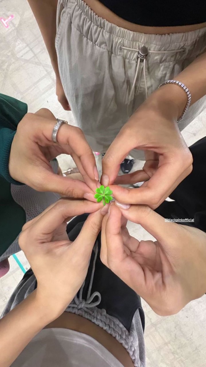 吐嘲群！