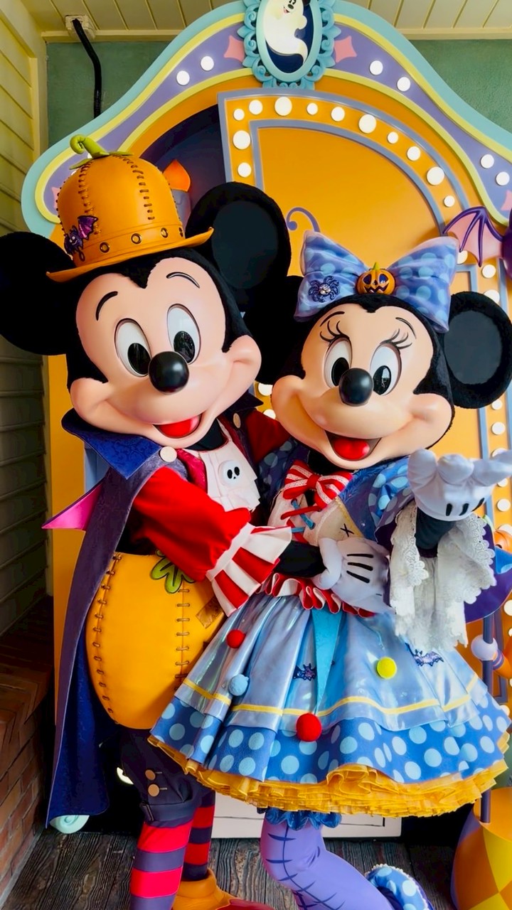 🐾大人のディズニー部屋🐾