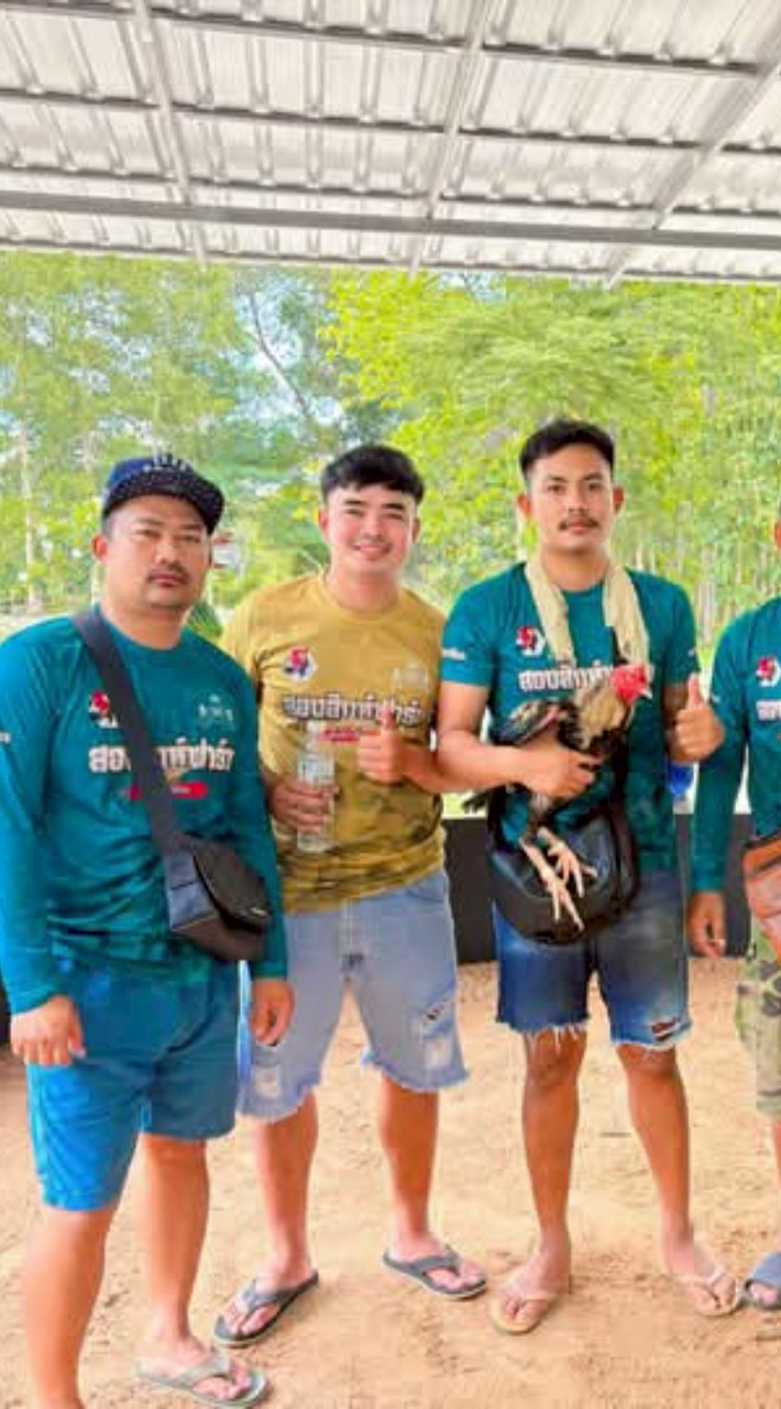 ราชสีห์หมู่8ทีม