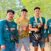 ราชสีห์หมู่8ทีม