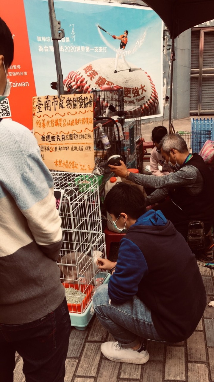 臺南市寵物關愛協會（聊天室）