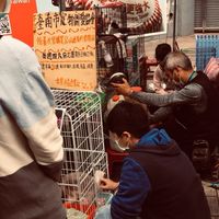 臺南市寵物關愛協會（聊天室）