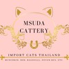 MSuda Cattery 🐱แมวนำเข้าทุกสายพันธุ์ 💕 [พันธุ์แท้]