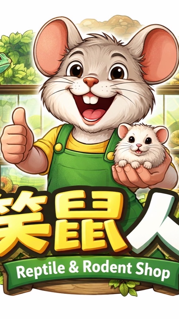 笑鼠人🐭（新北小白飼料鼠供應）