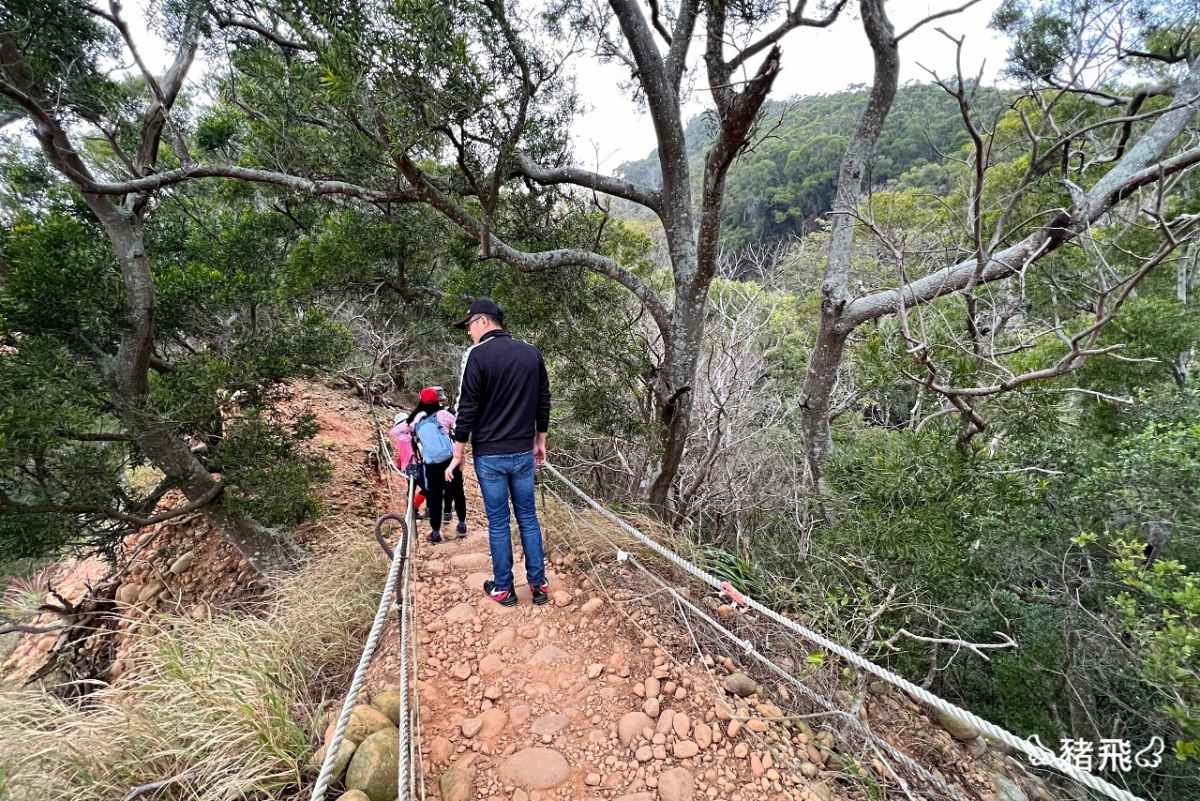 避暑祕境快收藏！苗栗６條免門票「私房步道」：羽量級小百岳、美國大峽谷