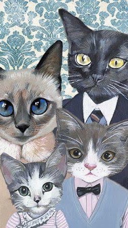 Cat United Kingdom