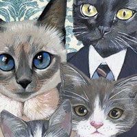 Cat United Kingdom