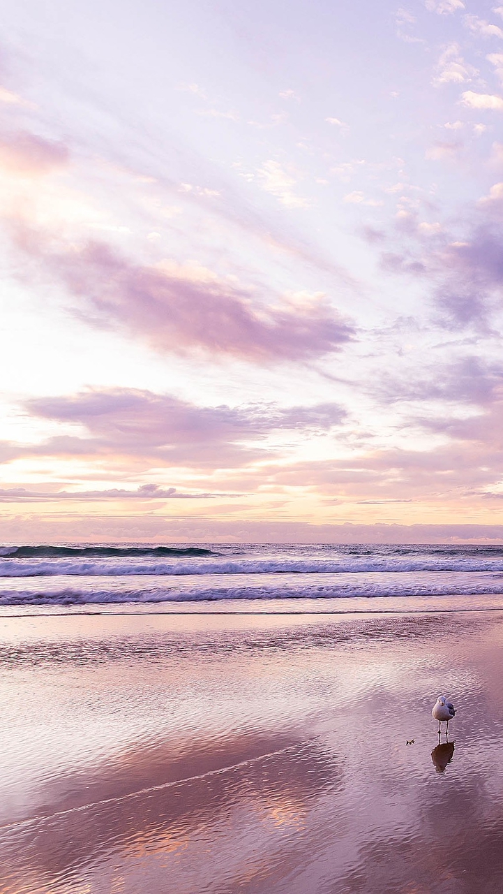 Tsumugu Online English Lounge