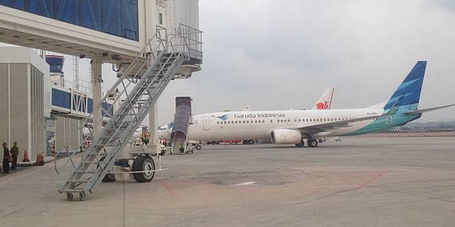 Ramai Soal Burung Kacer Berikut Aturan Hewan Peliharaan Masuk Ke