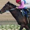 競馬でお小遣い