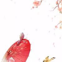柳絮飄搖
