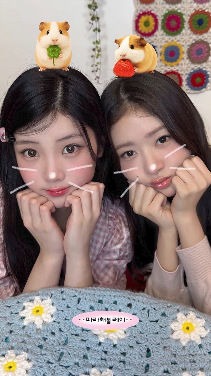 IVEとILLITが大好きな人集まれー