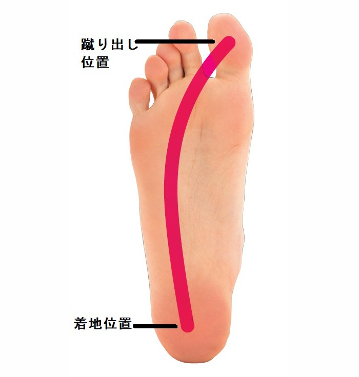 正しく歩いて膝の負担を減らして 健康寿命を伸ばそう