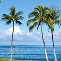MAHALO GOLF⛳️🌴