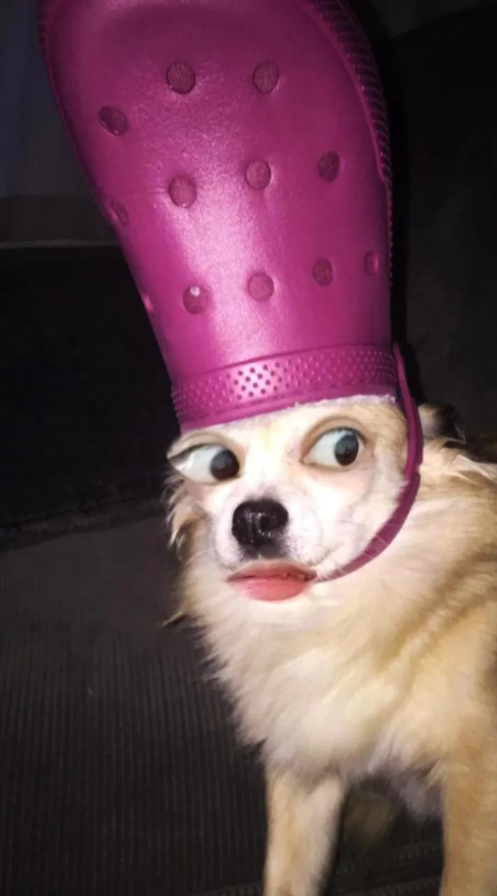 relxdlimpp4