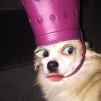 relxdlimpp4