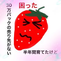 もったいなイチゴ🍓を応援！
