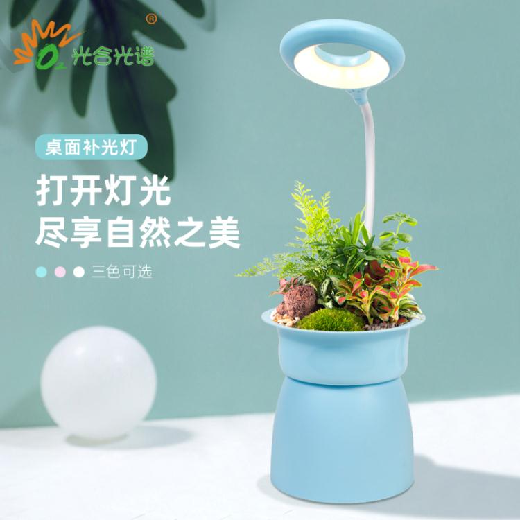 植物燈 桌面補光燈創意裝飾生日禮物辦公室內多肉植物花盆生長燈USB護眼 阿薩布魯 年終88折大促