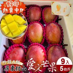 果農直配-外銷A級屏東枋山愛文芒果禮盒4盒(9入_約5斤/箱)