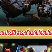 🐓หาความรู้ใหม่ในไก่ชน ศึกษาหาความรู้ใหม่ เรื่องของไก่ชน