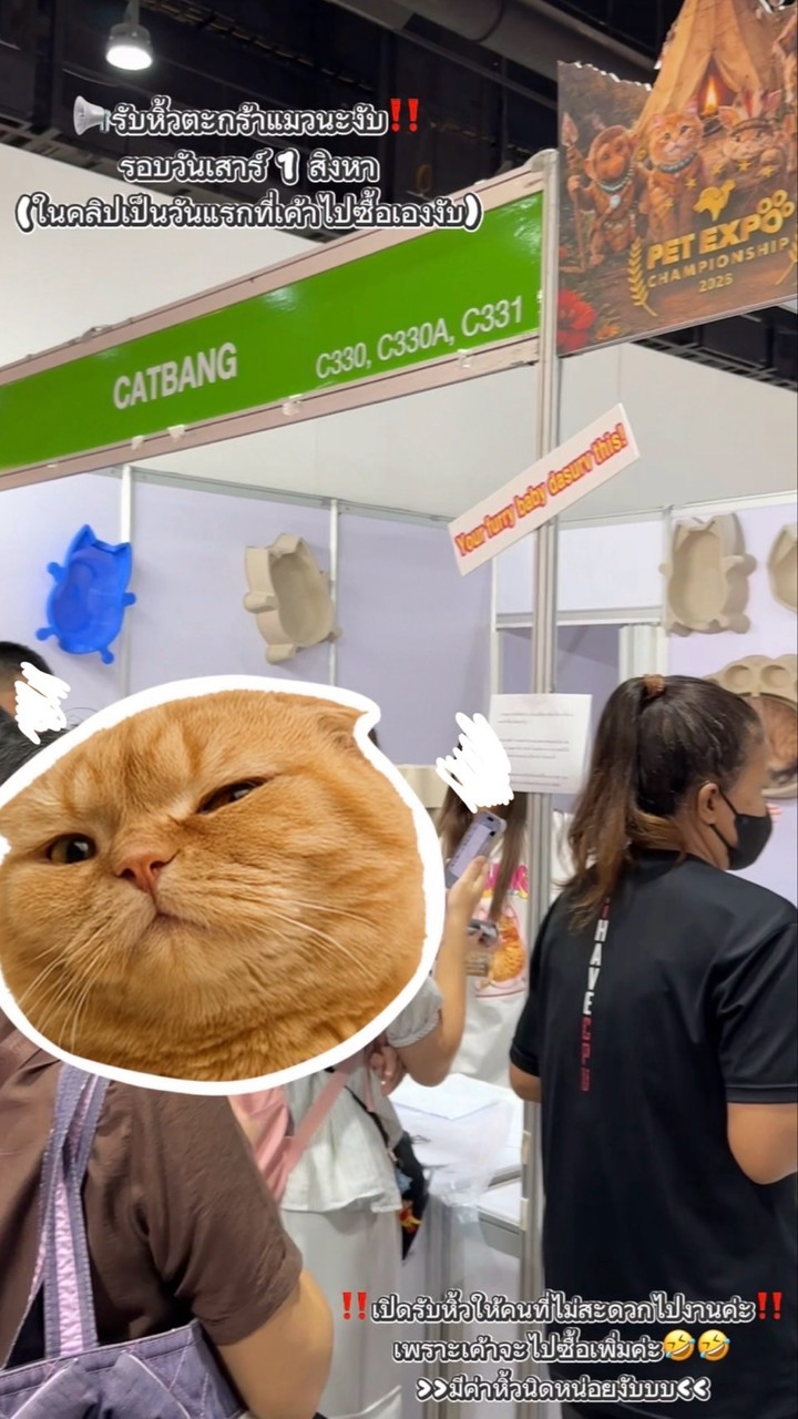🌈JN Gummy รับหิ้วตะกร้าแมว🐈🧺