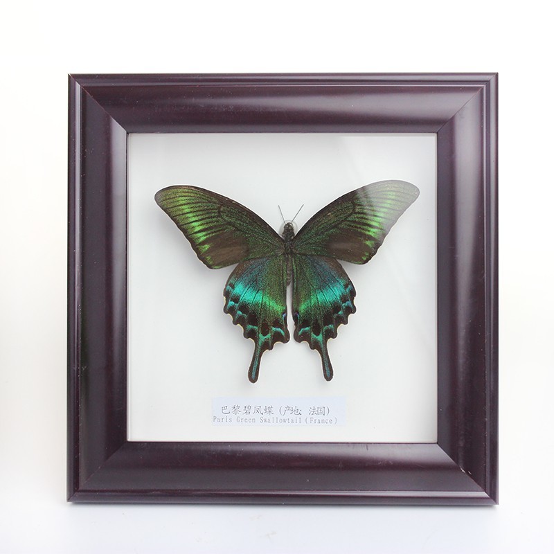 全館現貨+快速出貨我們款式多上新快質量保證價格超優惠關注我們賣場有更多優惠 & 新款通知~()/~ 出貨前都有經過質量檢查收到商品有寄錯寄少質量問題等要第一時間通知我們幫您處理本賣場是非常負責任的哈