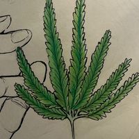 限定！イラスト好き集まれ〜!!!!