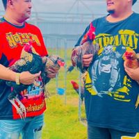 ซุ้มไก่ ป.ประยูร ฟาร์ม นครปฐม