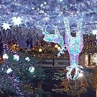 【女性限定】愛知　名古屋静岡・岐阜  ジャニーズToBe好きな人愛知 静岡岐阜　30代40代以上