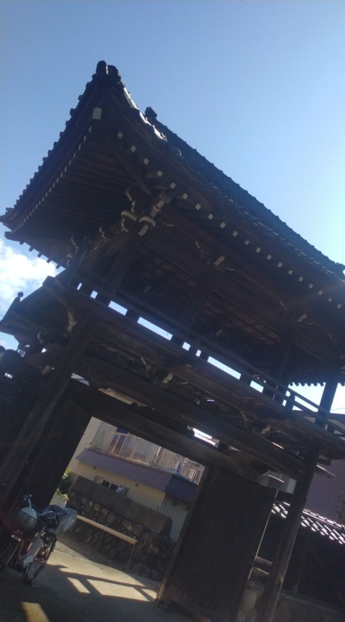 本家　勝山小笠原の会