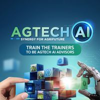 2023Train:DTrainers