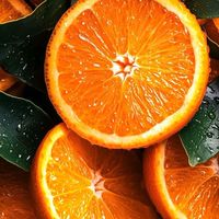 オレンジポケットマネー🍊