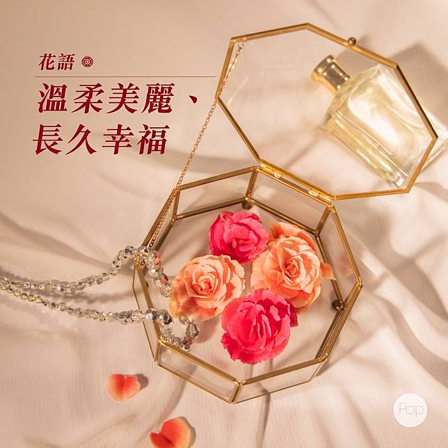 十一月誕生花 玫瑰海棠 Metro Pop Line Today